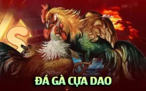 Đá Gà Cựa Dao