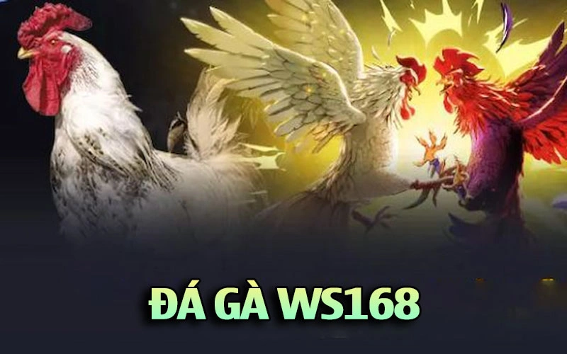 đá gà ws168